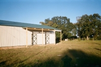 40x60x14, 6' lean-to. light stone walls fern green roof and trim.